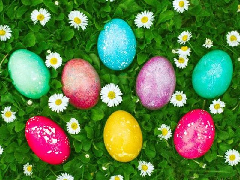 Things to do with the kids at Glasgow Fort this Easter