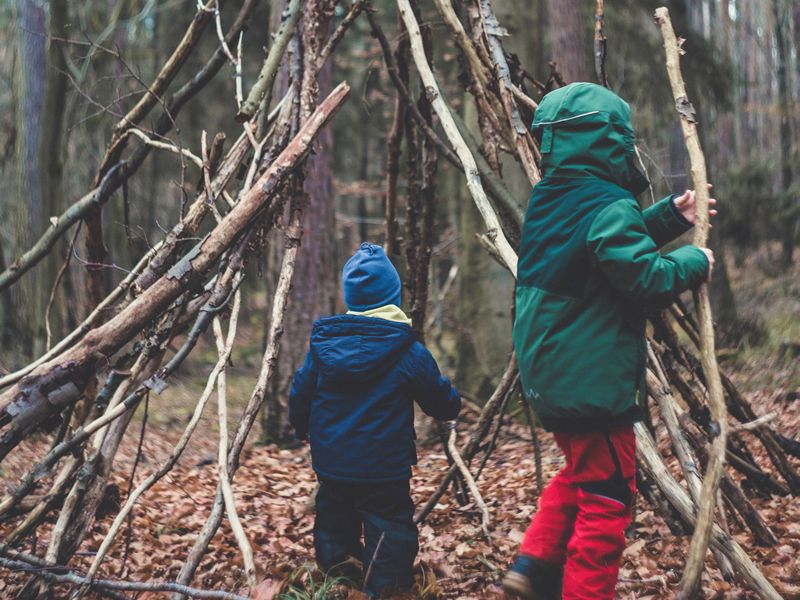 Den Building