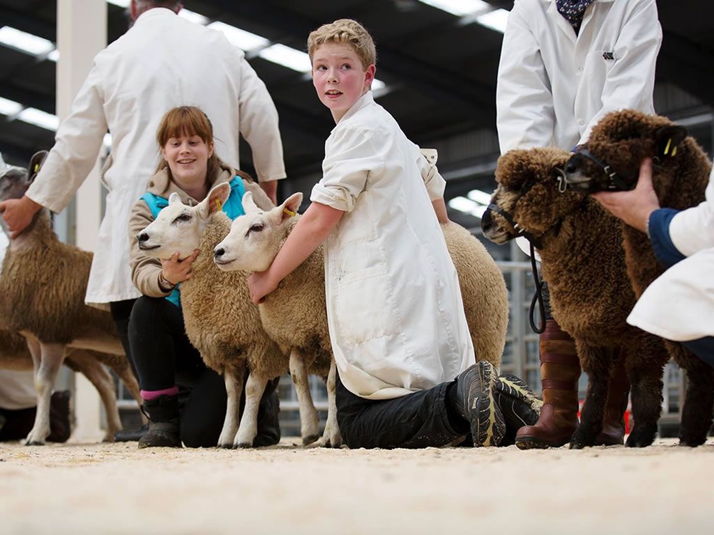 Scottish Smallholder Festival