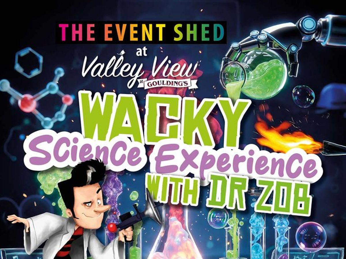 Wacky Science Show