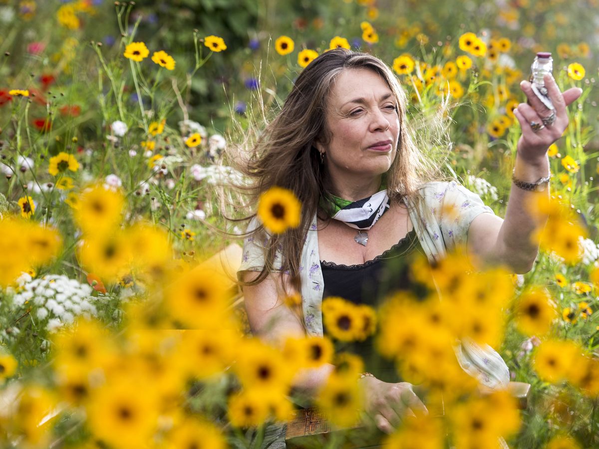 Herbal Magic: Amanda Edmiston on Collected Curiosities