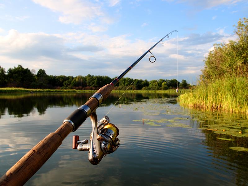 Walton Angling Club