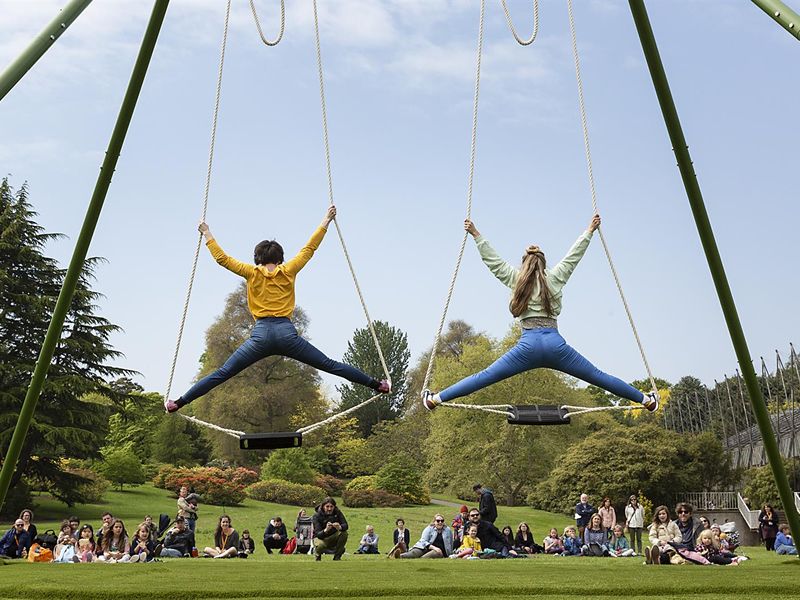 The Swings