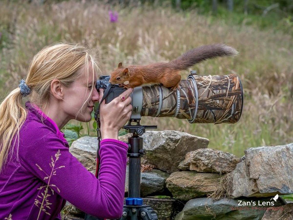 Wild Heart of Nature - Showcase of Zaneta Threlfall