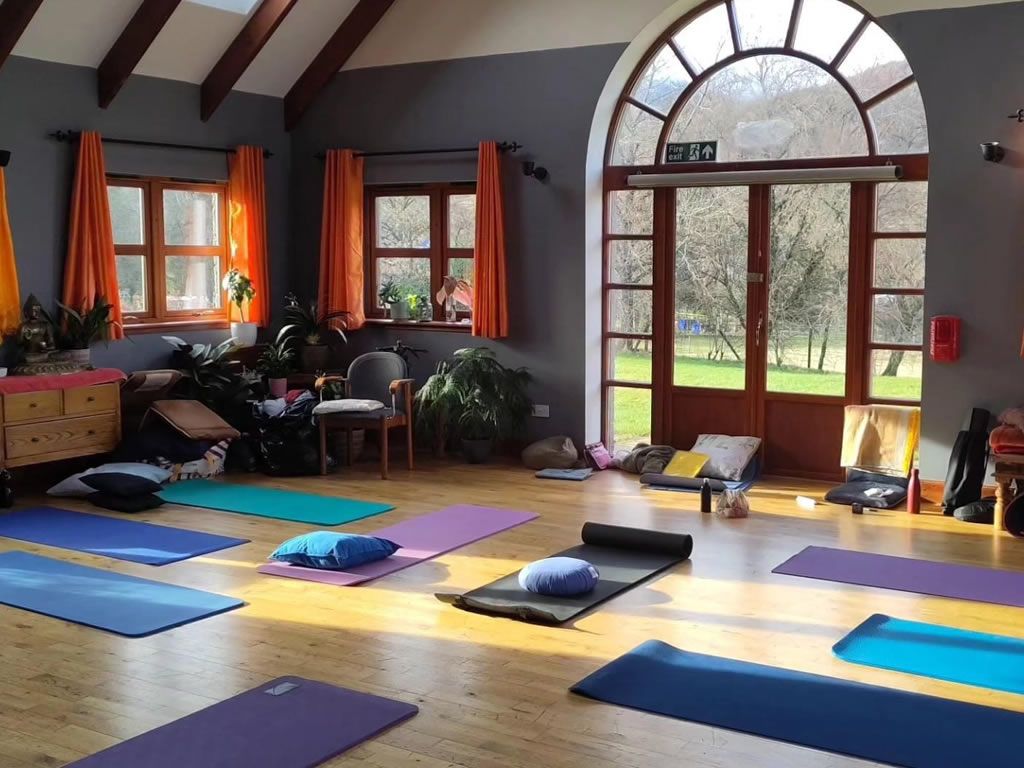 One-Day Reflection Retreat: Phototherapy, Yoga, and Meditation