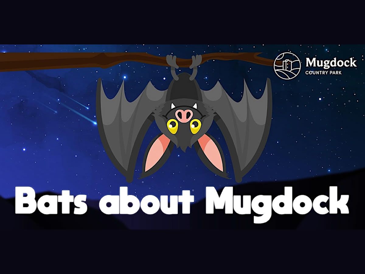 Bats About Mugdock