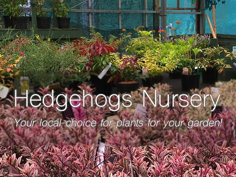 Hedgehogs Nursery And Garden Centre