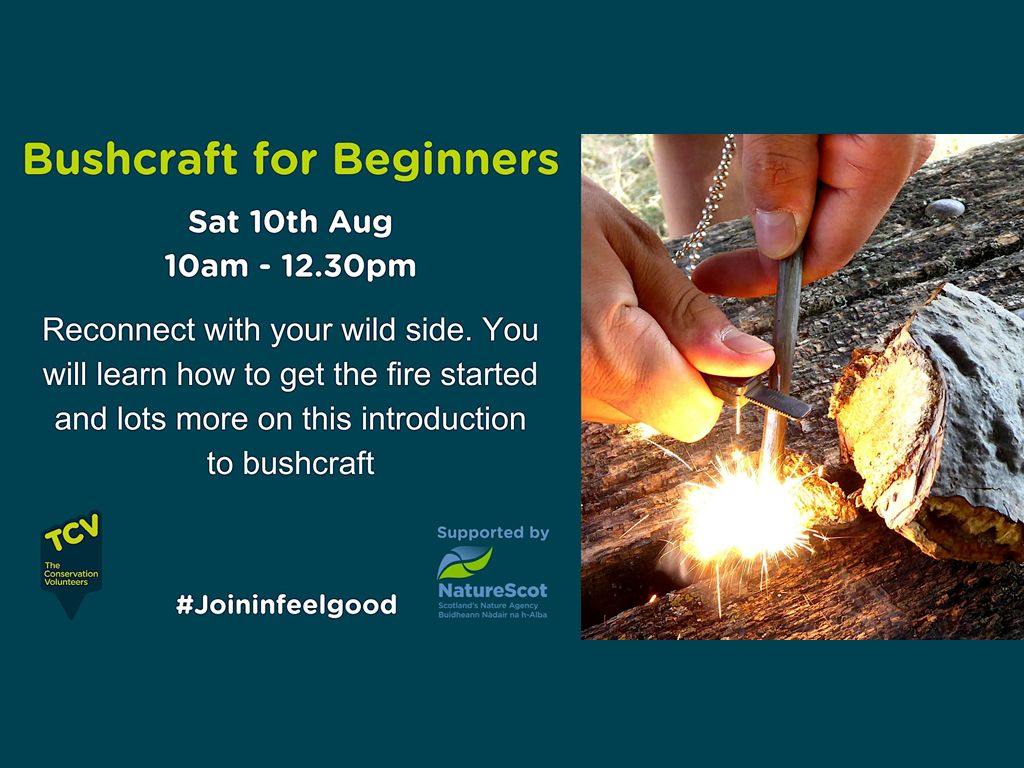Bushcraft for Beginners