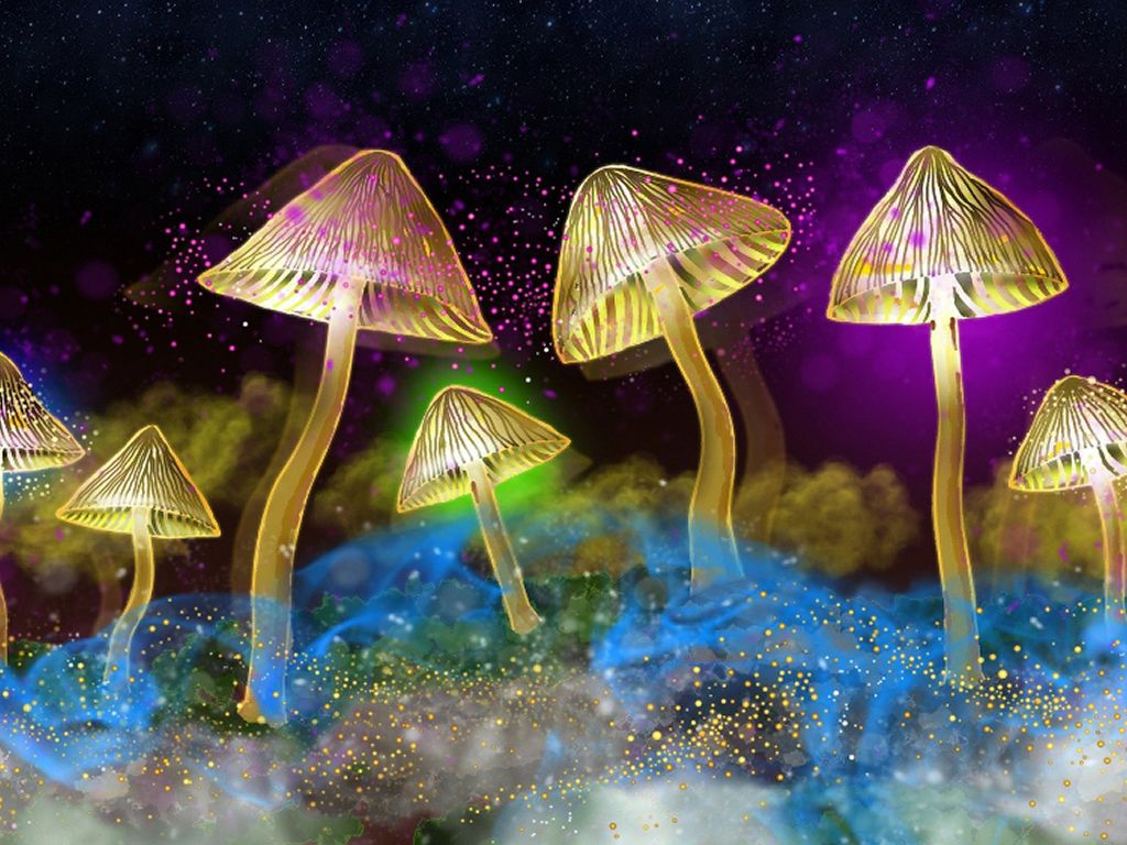 The Science of Psychedelics with Dr Mourad Wahba