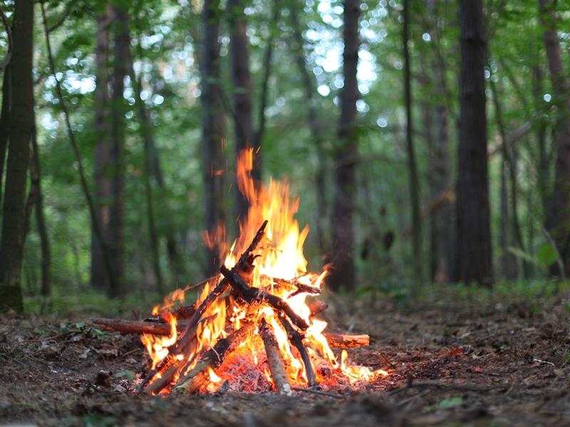 Firewood, Flint & Food