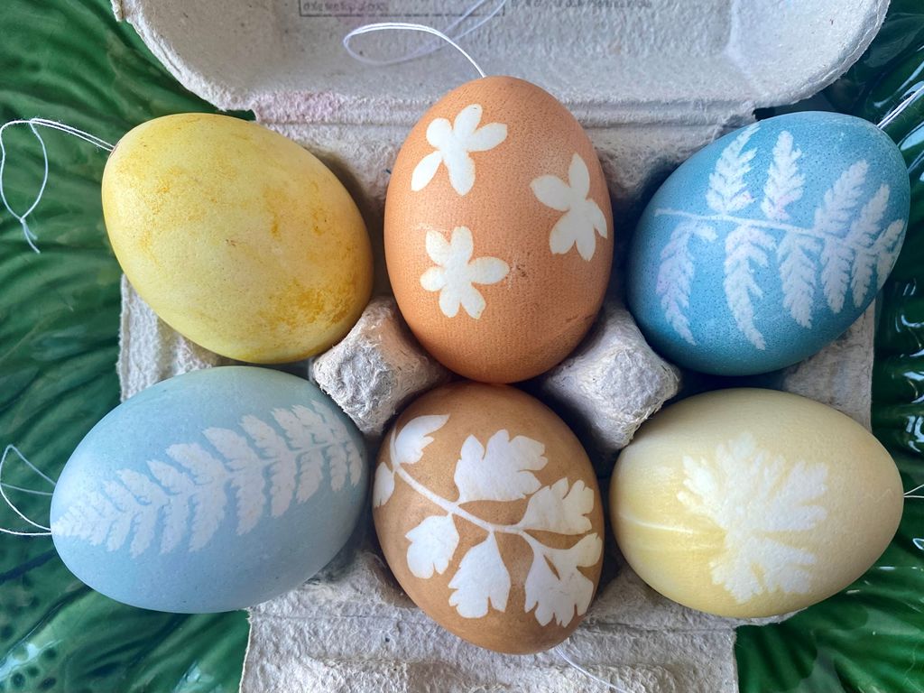Easter Egg Decorating Workshop with Natural Dyes