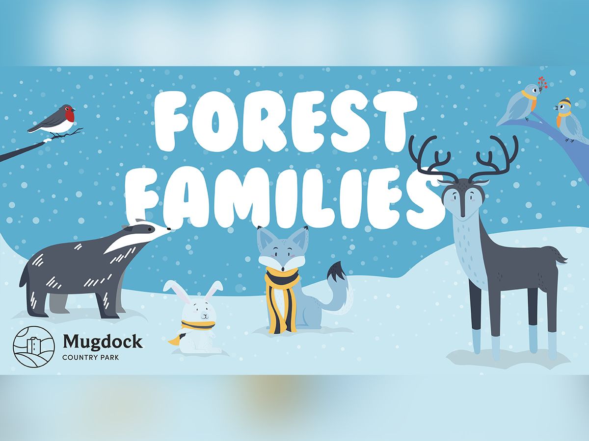 Forest Families
