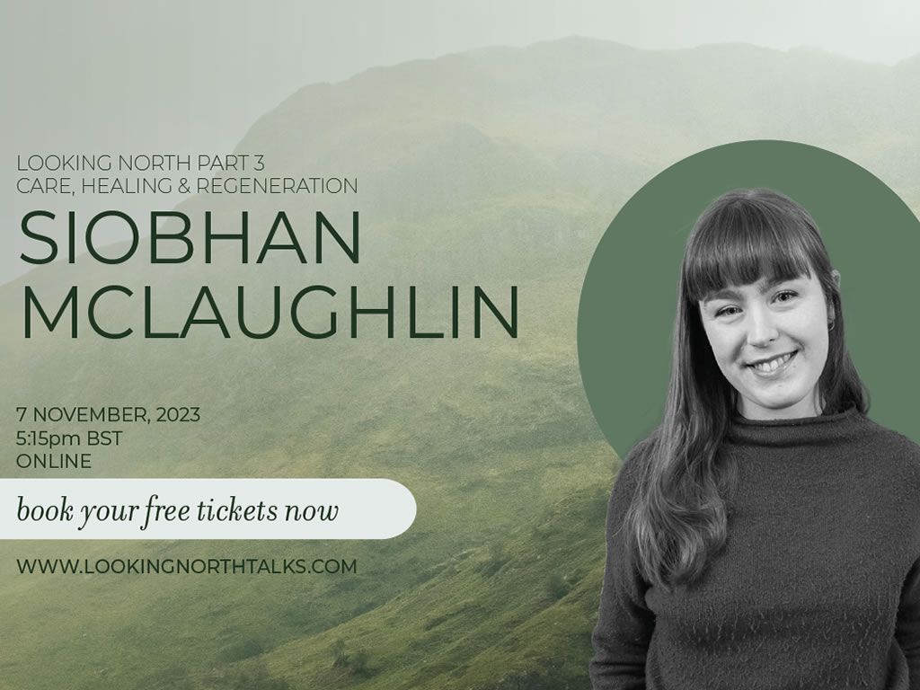 Looking North Through Art: Siobhan McLaughlin
