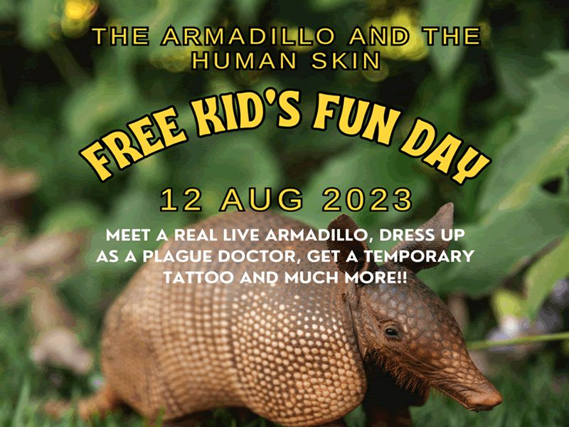 The Armadillo and the Human Skin