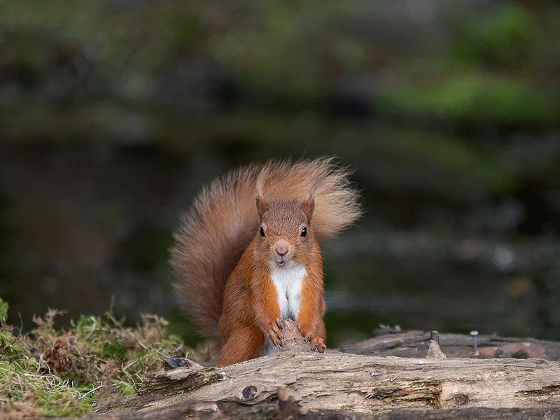 Stirling Photography Festival exclusive and free to access events announced