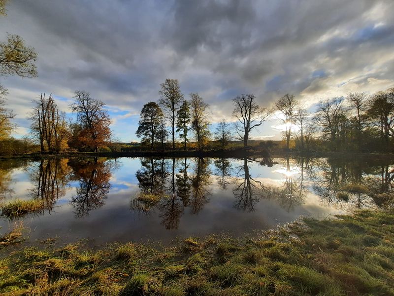 Habitats and History at RSPB Baron’s Haugh