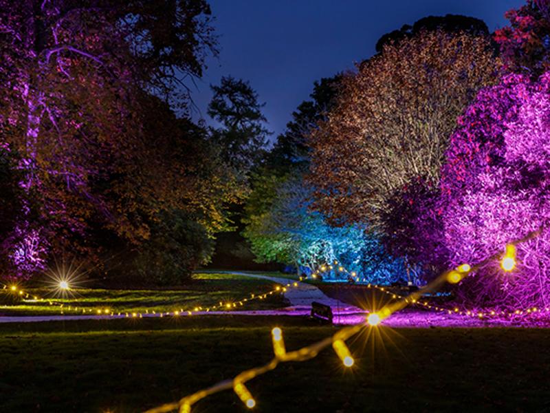 Wondrous Woods partners with Scottish Autism to produce bespoke events