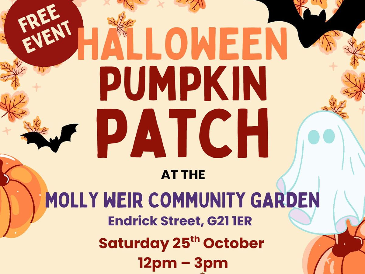 Halloween Pumpkin Patch