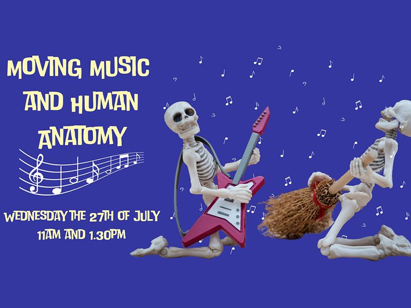 Moving Music and Human Anatomy