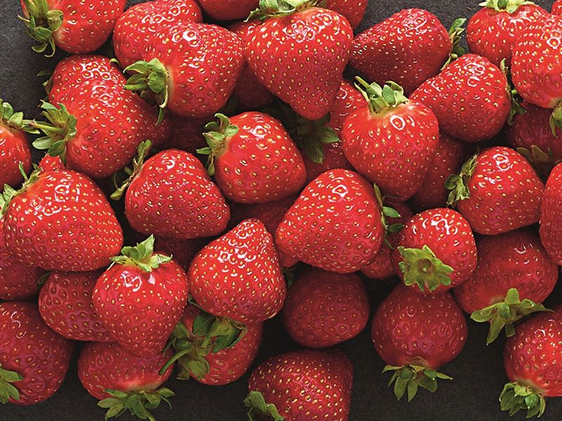 First Scottish strawberries of the season to hit ALDI shelves thanks to Fife Farm