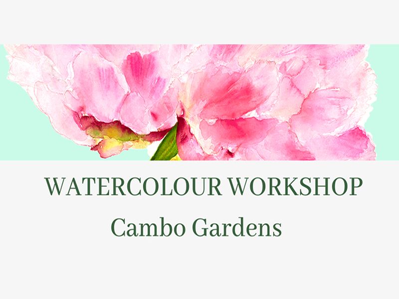 Clare Robinson - Watercolour Workshop