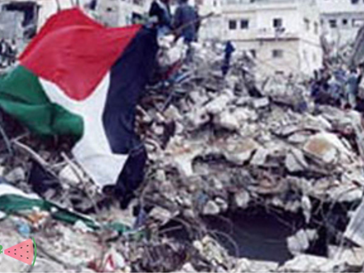 Falastin Film Festival: Jenin, Jenin