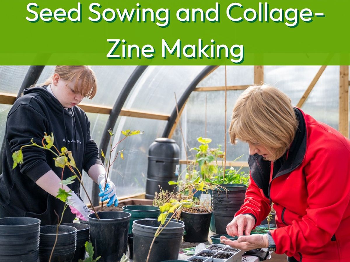 Growing Biggar: Seed Sowing & Collage-Zine Making