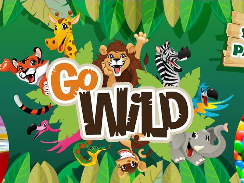 Go Wild Soft Play And Party Centre Glasgow