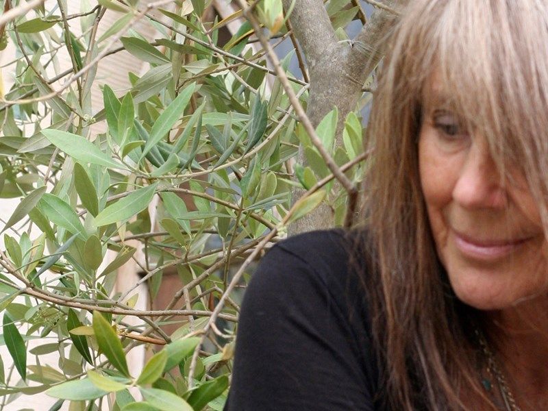 Vashti Bunyan Wayward Just Another Life To Live At The Mitchell vashti-bunyan-wayward-just-another-life-to-live-at-the-mitchell