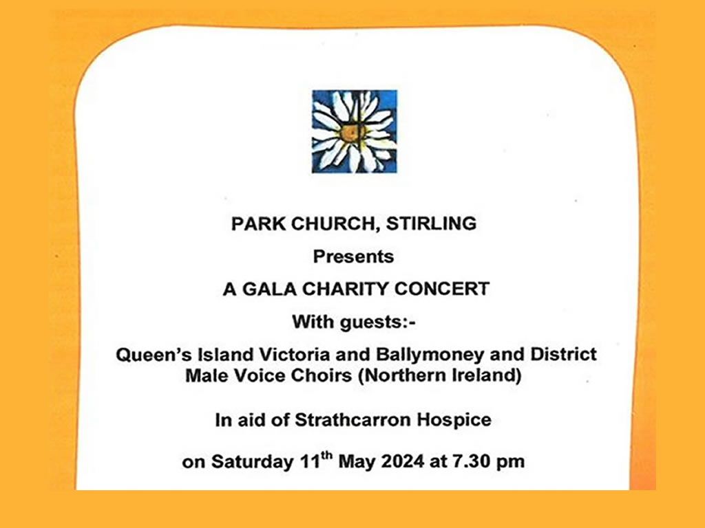 Giffnock christmas lights 2025