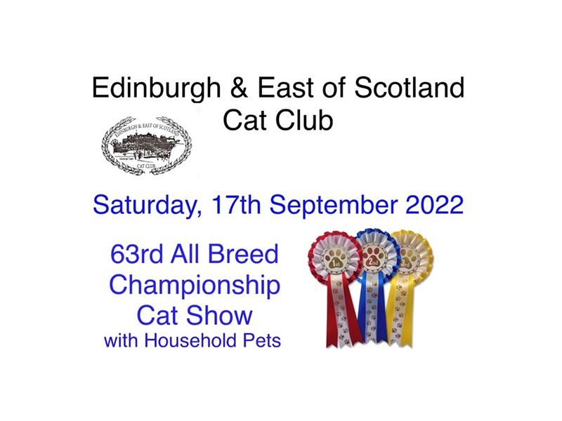 Edinburgh Cat Club Cat Show