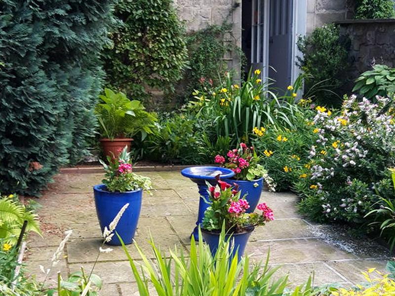 Scotland’s Gardens Scheme Open Garden: Meadow Place