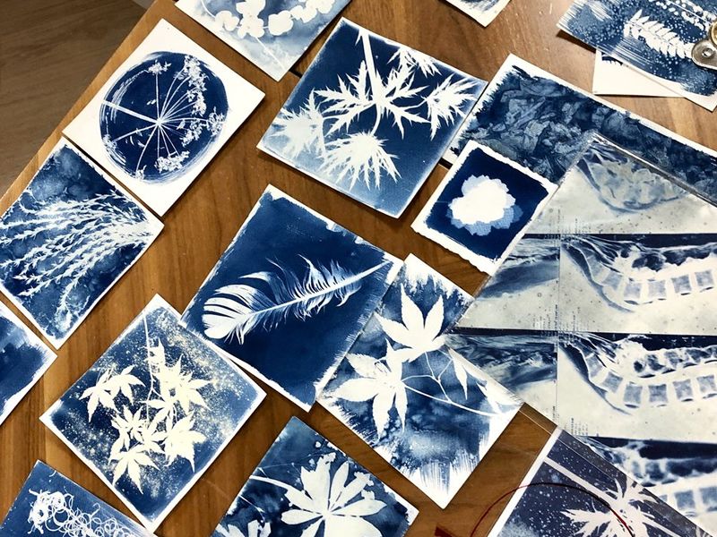 Cyanotype Day Course - with Braw Artworks