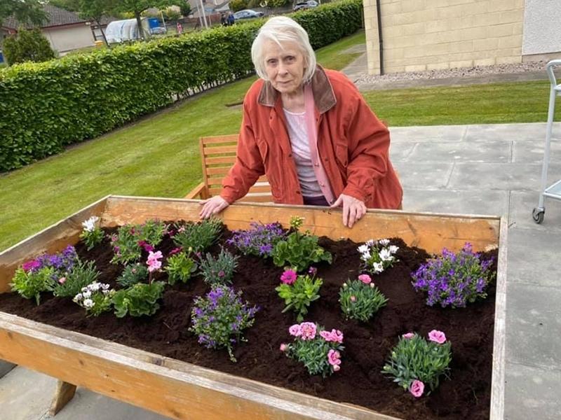 Care home residents use their green fingers to compete for best garden