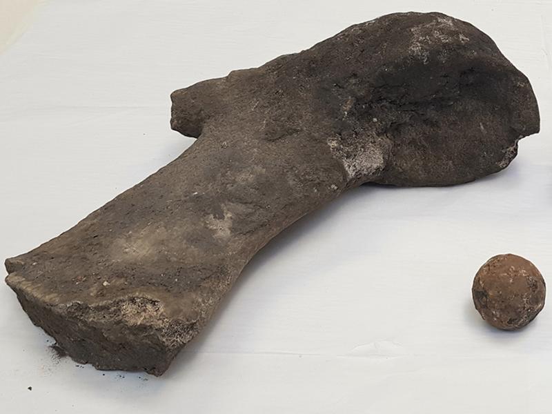 Rare whale bones amongst historical discoveries made in tram project excavations