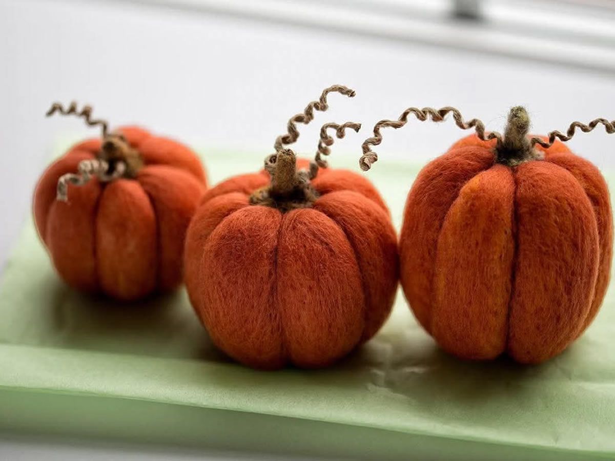 Needle Felting Workshop: 3D Wool Pumpkins with Felting Scotland