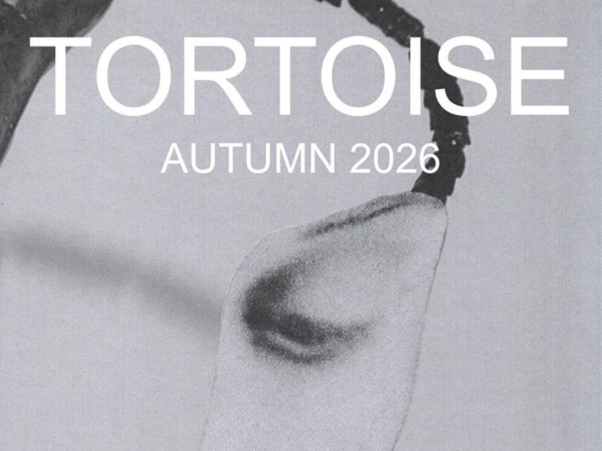 Tortoise