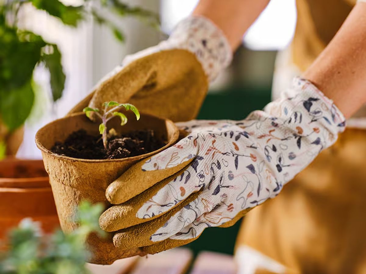 Paint, Plant & Grow! at IKEA Glasgow