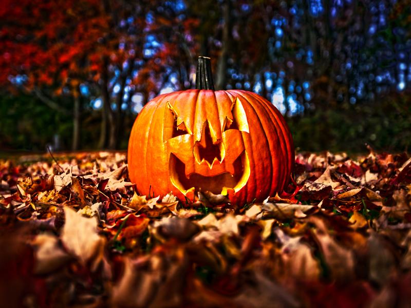 Castlemilk Park Pumpkin Festival