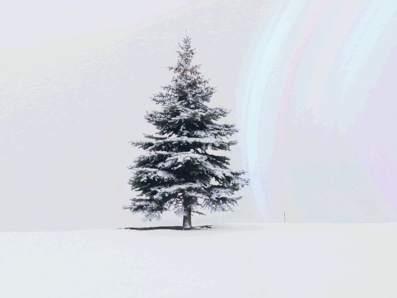 SCO 2023/24: Snow on Snow with SCO Chorus
