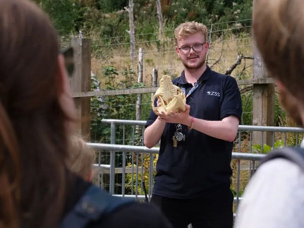 Around the World Tour