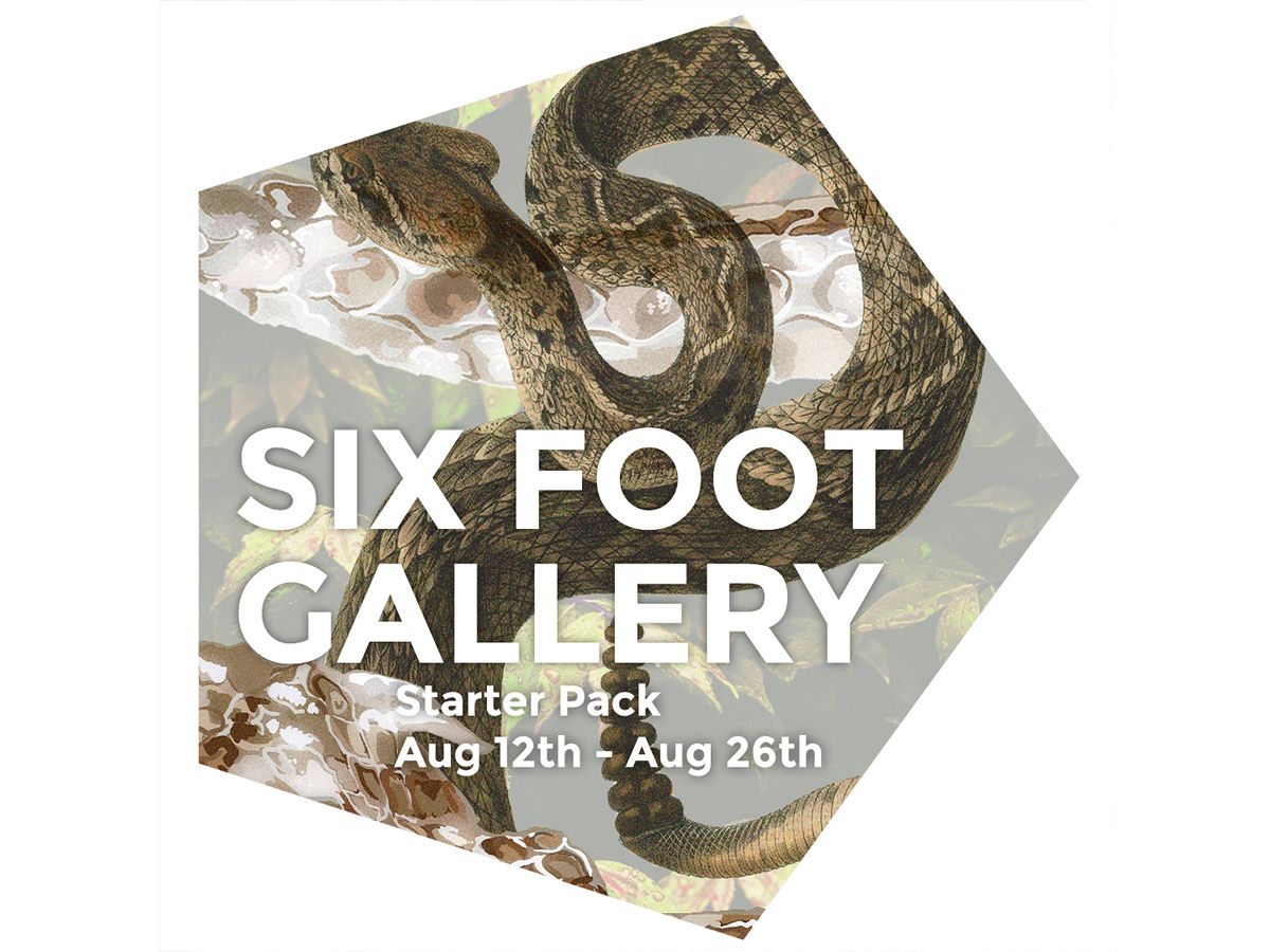 Starter Pack - Emerging Artists Exhibition