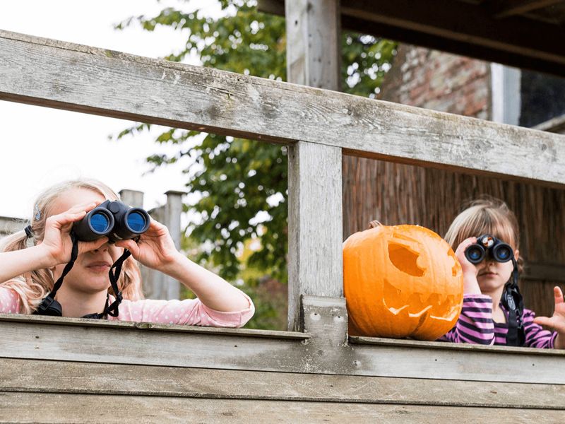 Halloween Pumpkin Hunt