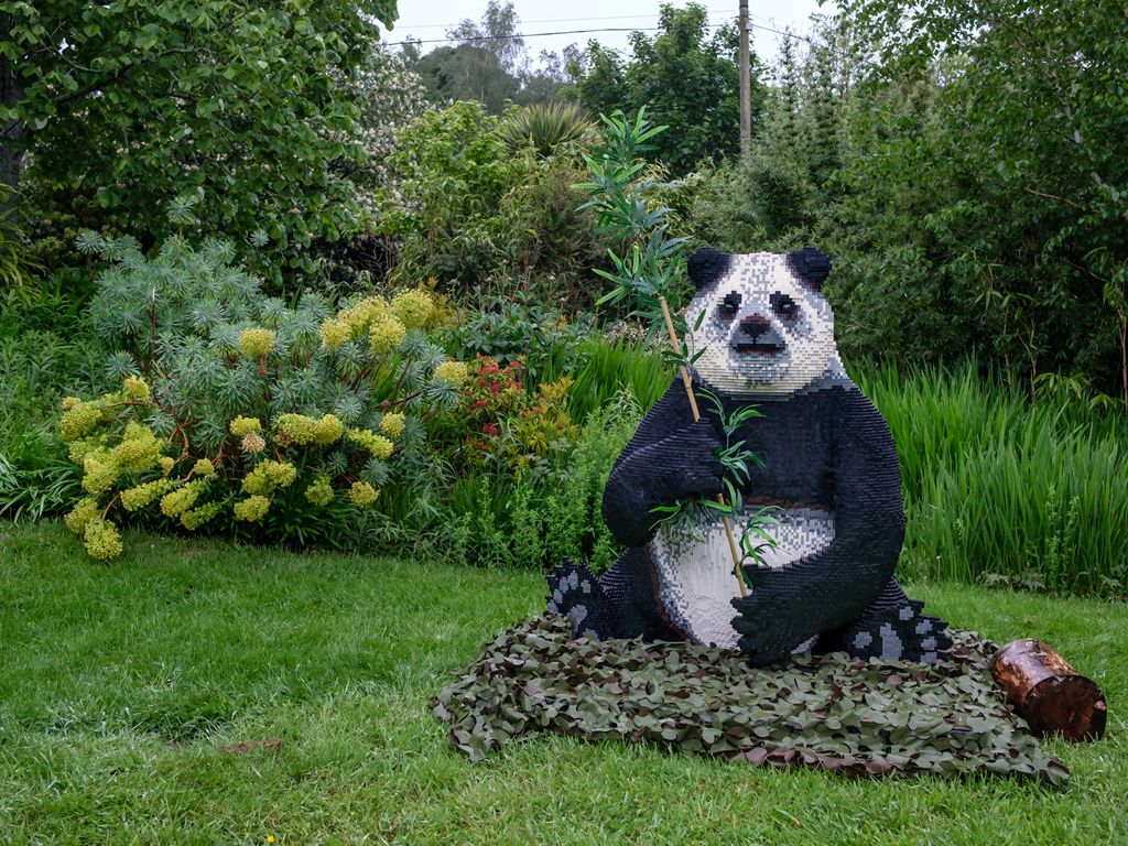 Giant panda returns to Edinburgh Zoo... as part of BRICKLIVE safari