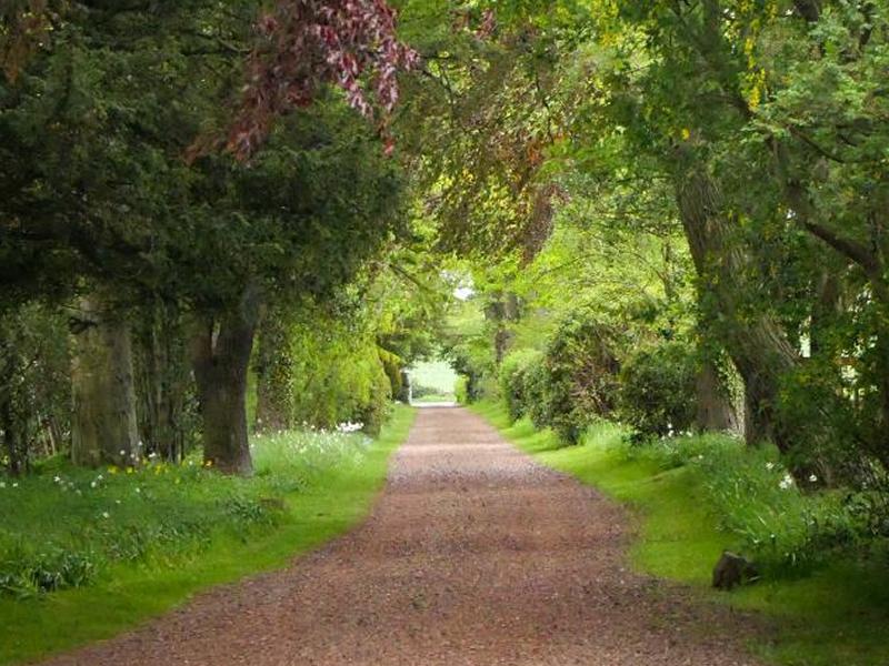 Scotland’s Gardens Scheme Open Garden: Camptoun House