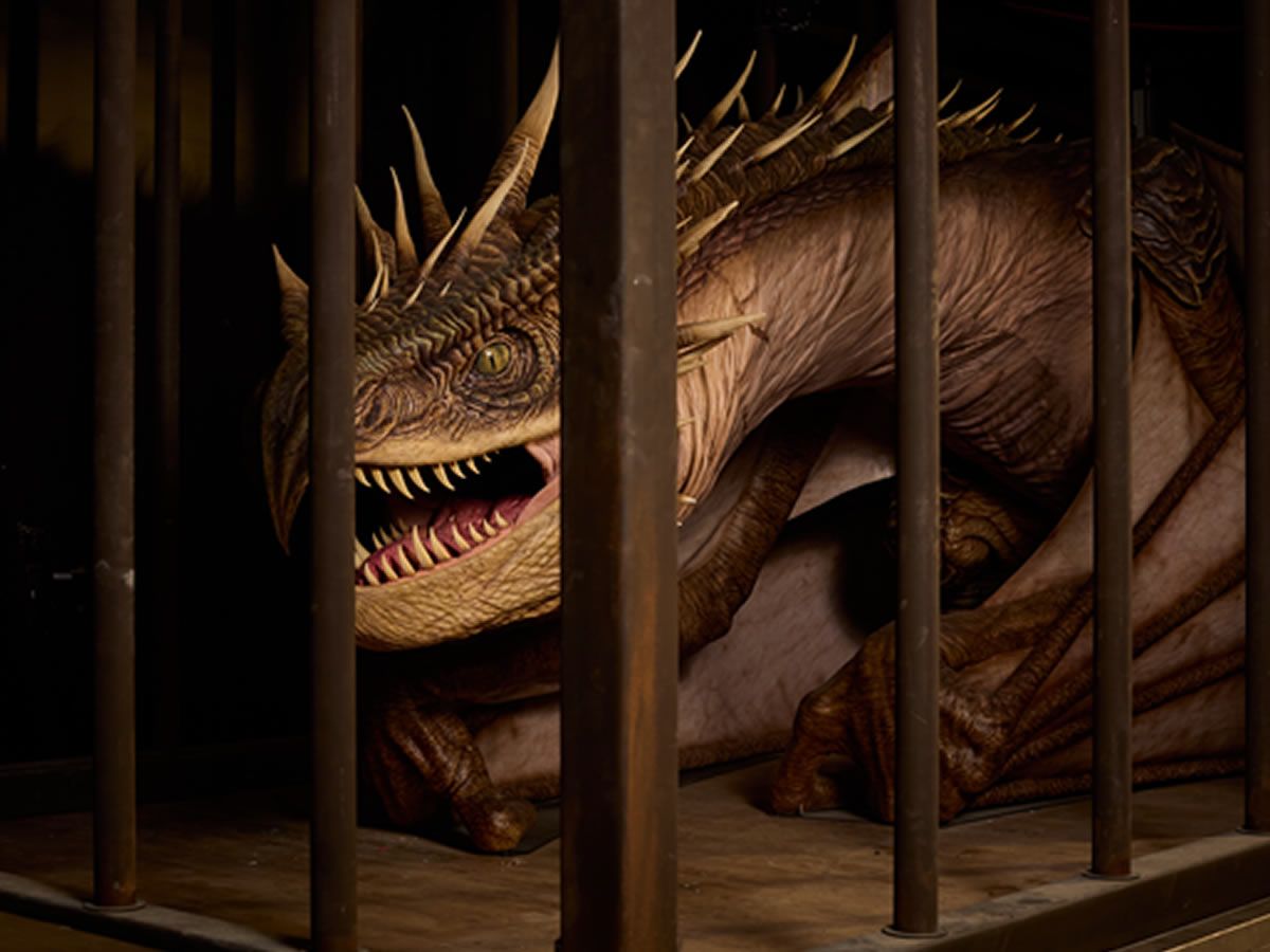 Harry Potter dragon headed your way!
