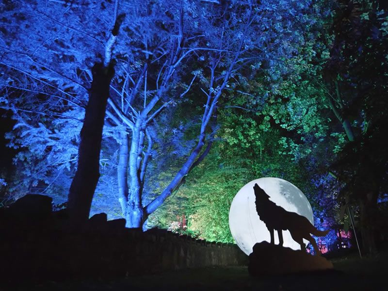 Halloween ‘Spooktacular’ at Craigies Farm