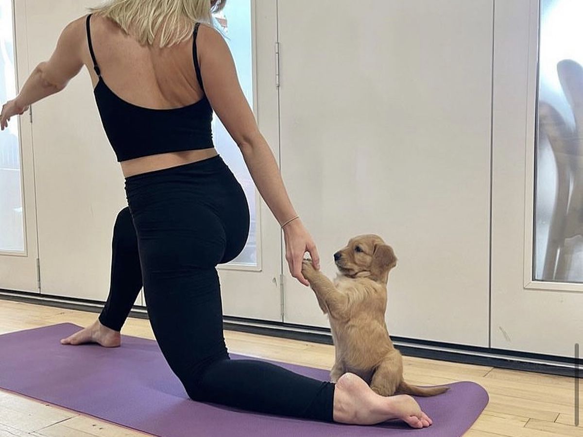 Puppy Yoga Scotland