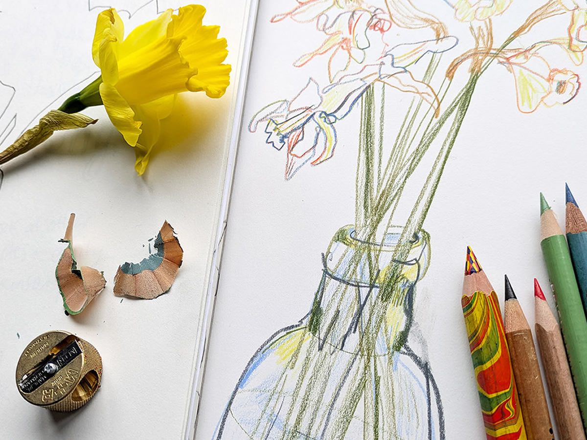 Develop your Drawing and Painting skills