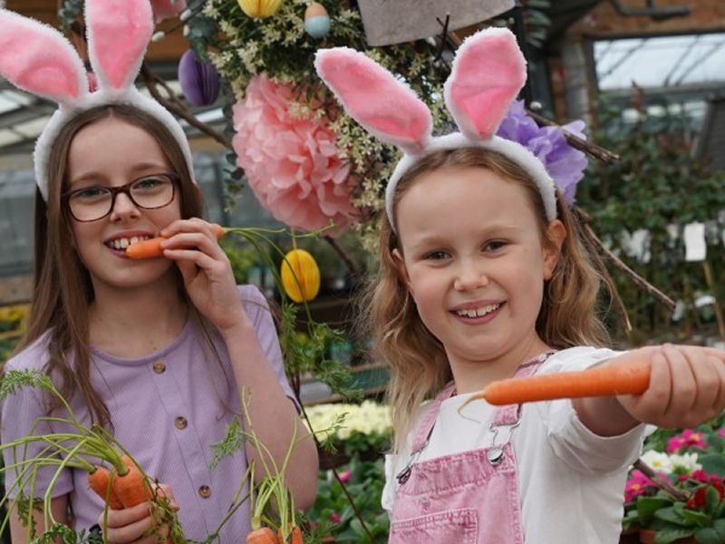 Easter Bunny Breakfast at Dobbies Dunfermline